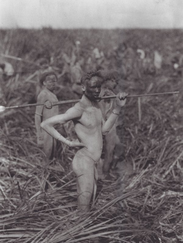 Afrika: Nuerští bojovníci v bažině (čb fotografie) od Hugo Adolf Bernatzik