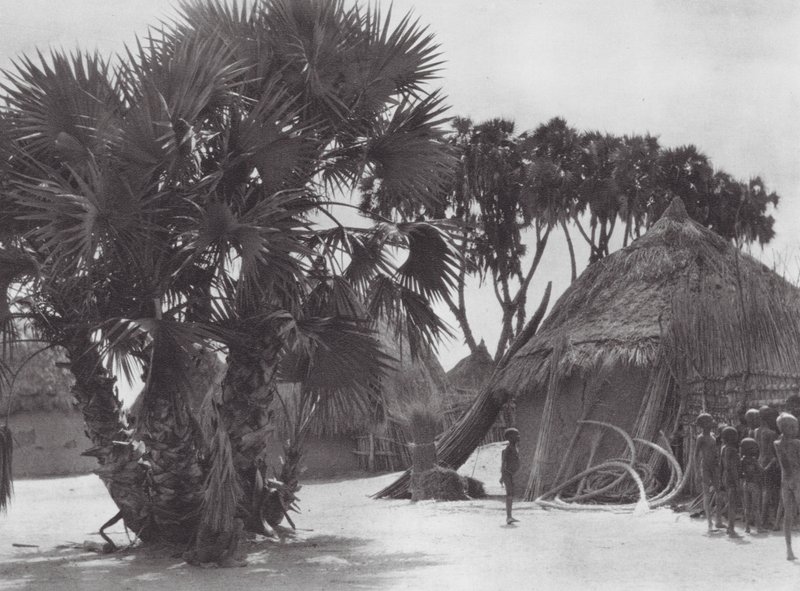 Afrika: Vesnice Šilluků na Bílém Nilu (čb fotografie) od Hugo Adolf Bernatzik