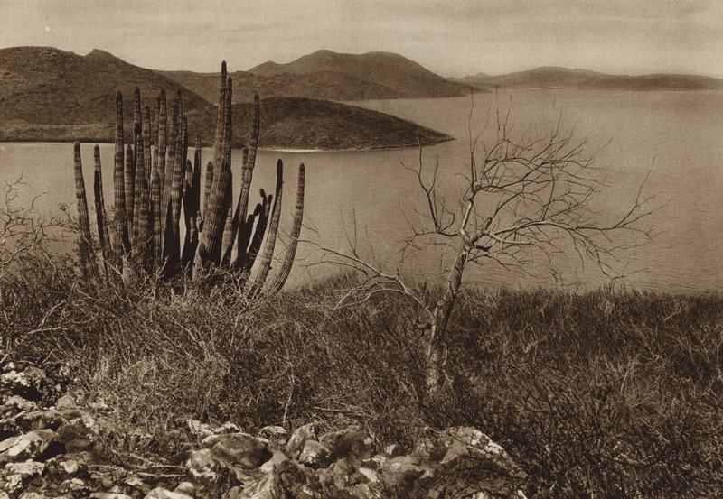 Mexiko: Poblíž pobřeží Baja California (čb fotografie) od Hugo Brehme