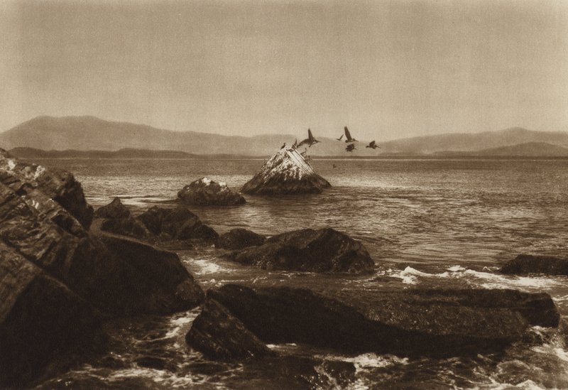 Mexiko: pobřeží Manzanillo, Pelicanos, stát Colima (čb fotografie) od Hugo Brehme