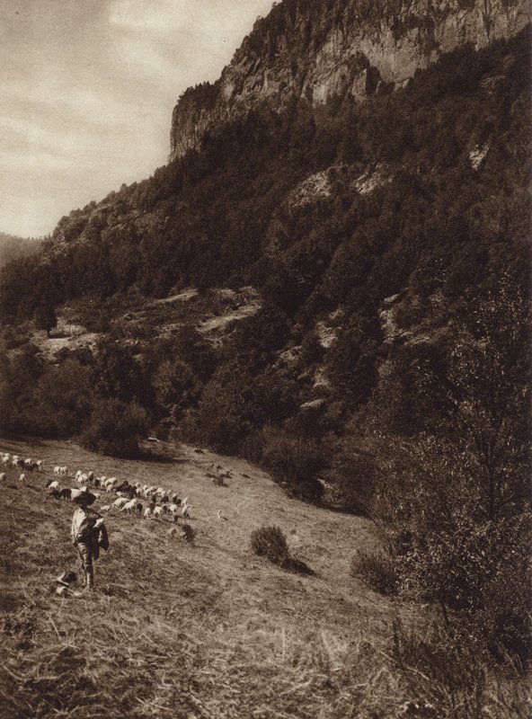 Mexiko: La Canada, Contreras, D F (čb fotografie) od Hugo Brehme