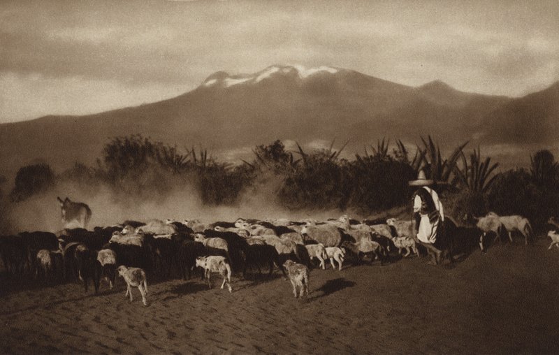 Mexiko: Okolí Amecameca (čb fotografie) od Hugo Brehme