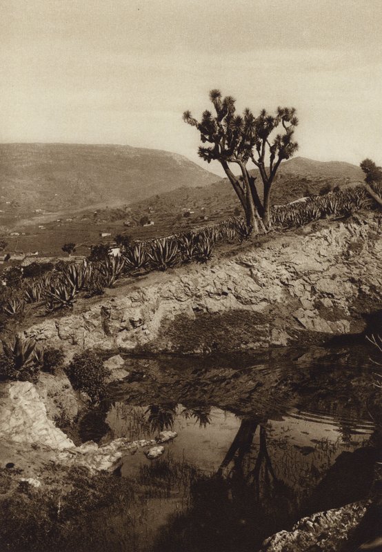 Mexiko: Okolí Toluky (čb fotografie) od Hugo Brehme