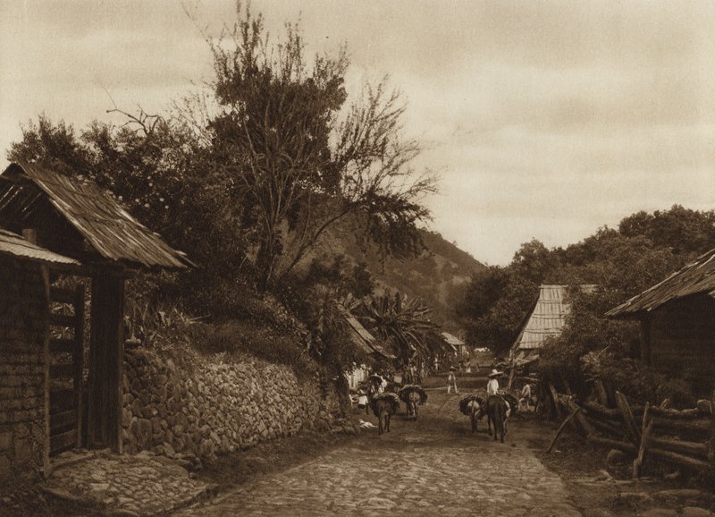 Mexiko: Okolí Uruapamu (čb fotografie) od Hugo Brehme