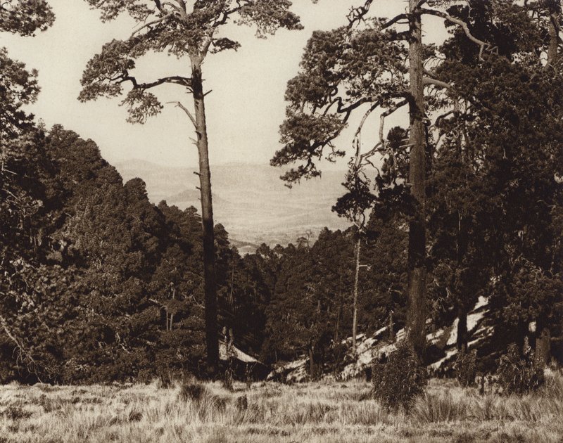 Mexiko: Divoké panorama na úpatí Pico de Orizaba (čb fotografie) od Hugo Brehme