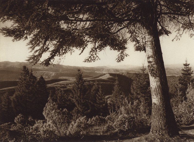 Mexiko: Národní park, Desierto de los Leones (čb fotografie) od Hugo Brehme