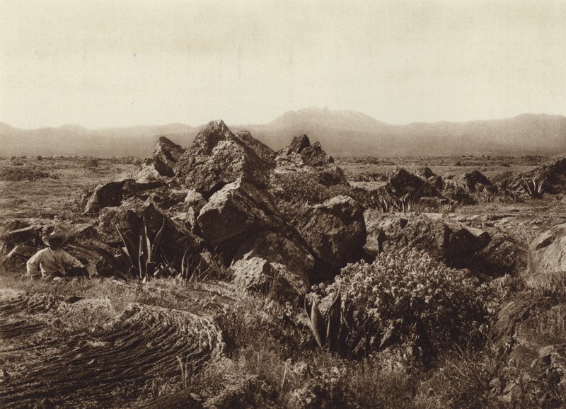 Mexiko: Pedregal, Corriente de basalto-lava u San Angel (čb fotografie) od Hugo Brehme