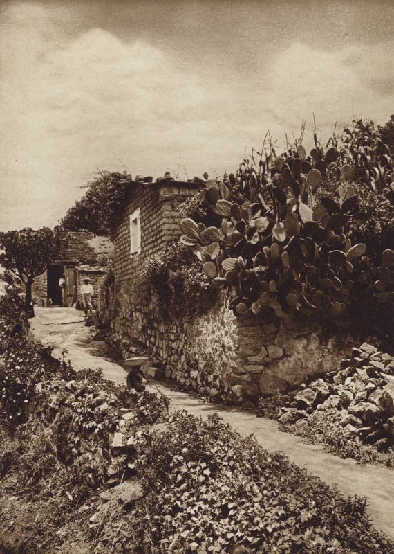 Mexiko: Malebné zákoutí v San Angel D F (čb fotografie) od Hugo Brehme