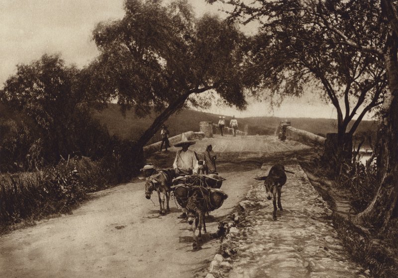 Mexiko: Cesta v mexických horách (čb fotografie) od Hugo Brehme