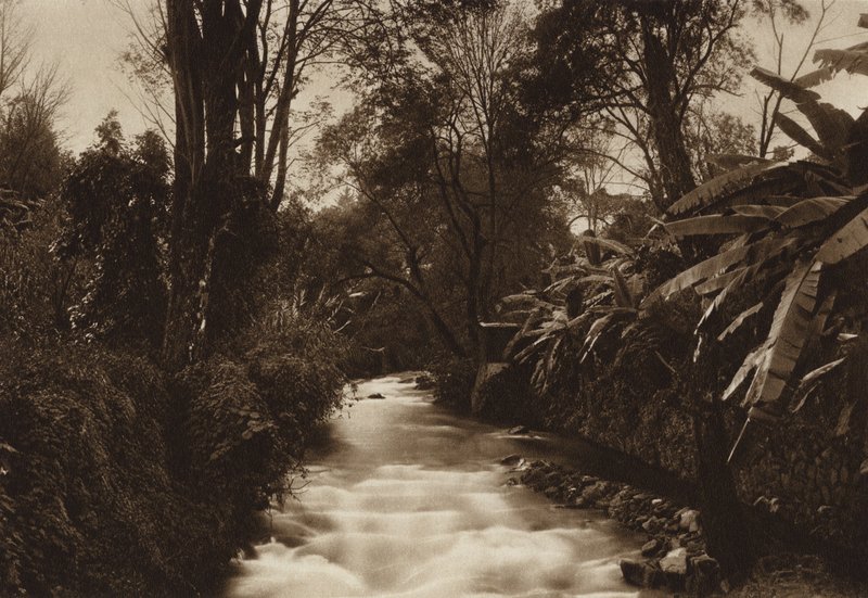 Mexiko: Uruapam (čb fotografie) od Hugo Brehme