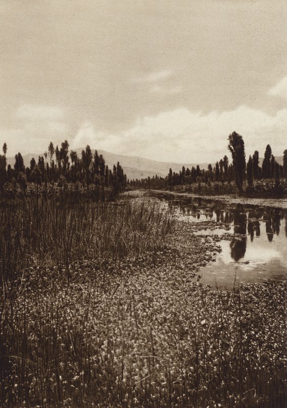Mexiko: Xochimilco, jeden z hlavních kanálů (čb fotografie) od Hugo Brehme