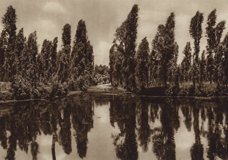 Mexiko: Xochimilco s tzv. "Plovoucími zahradami" (čb fotografie) od Hugo Brehme