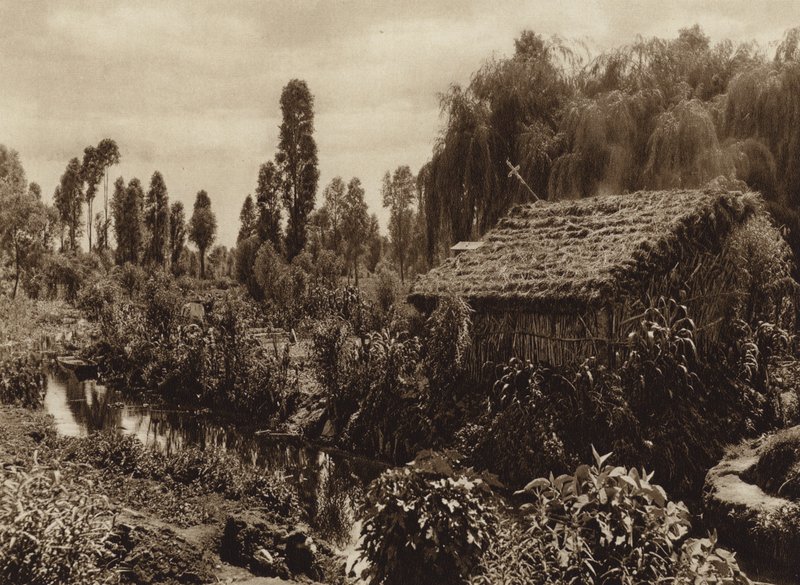 Mexiko: Xochimilco s tzv. "Plovoucími zahradami" (čb fotografie) od Hugo Brehme