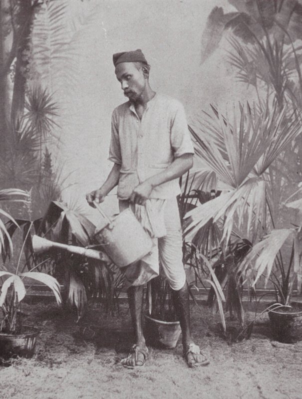 Bombaj / Mumbai: Zahradník (čb fotografie) od Indian photographer