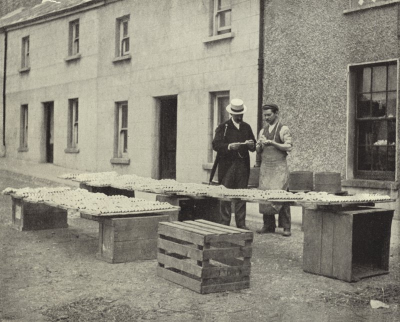 Výroba hliněných trubek, Drogheda (černobílá fotografie) od Irish Photographer