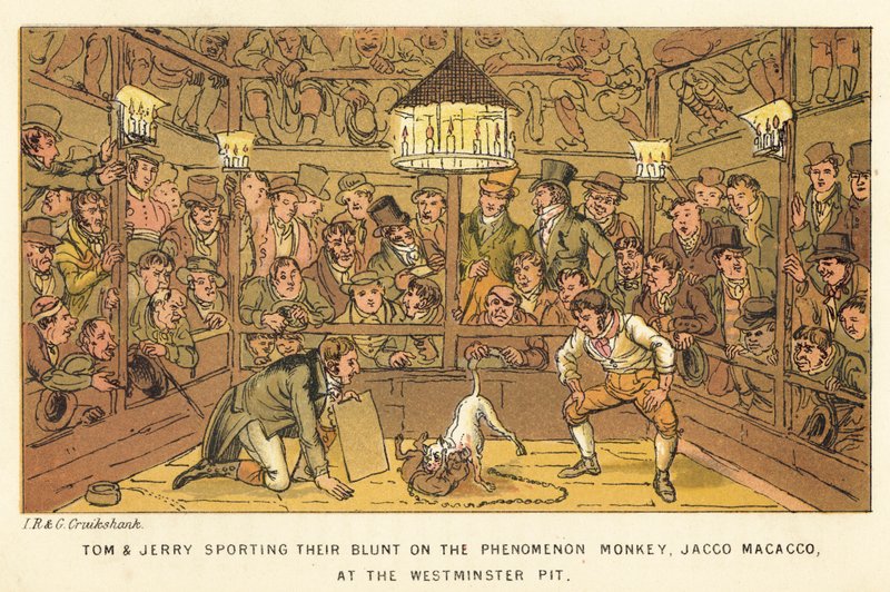 Tom a Jerry si ve Westminster Pit dávají tupý dým na opici Phenomenon Monkey, Jacco Macacco. od Isaac, Robert and George Cruikshank