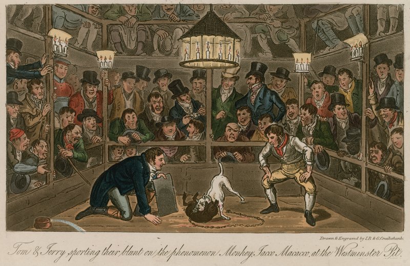 Tom a Jerry se ve Westminster Pit vrhli na fenomén Monkey, Jacco Macacco. od Isaac, Robert and George Cruikshank