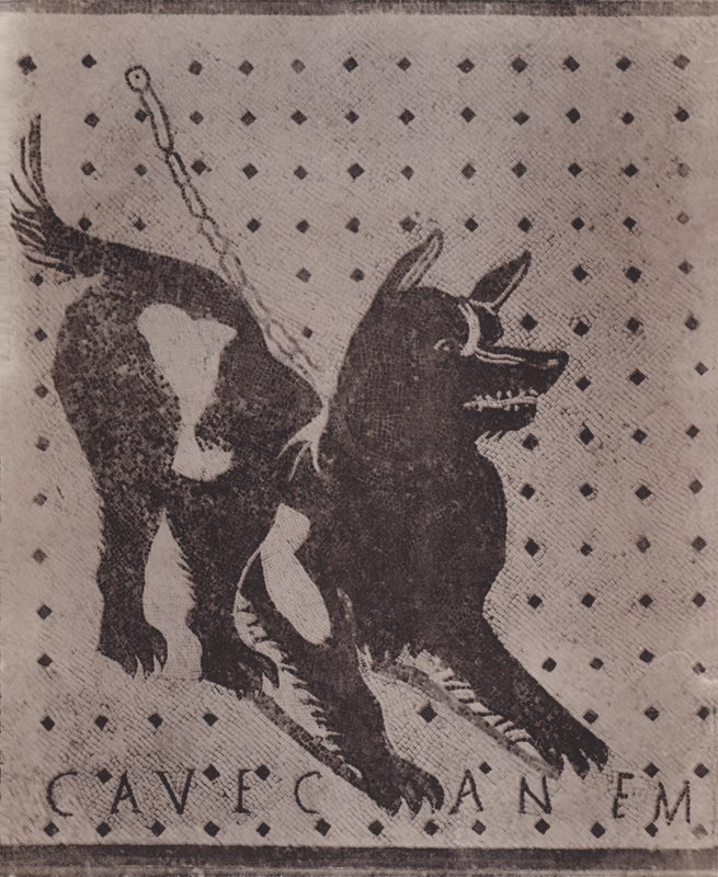 Mosaico, Cave Canem, Mosaic, Cave Canem (čb foto) od Italian Photographer