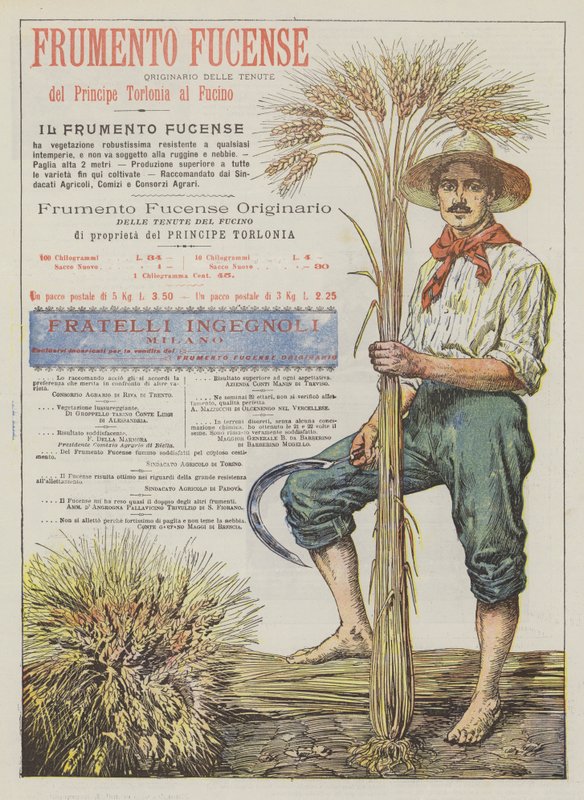 Frumento Fucense od Italian School