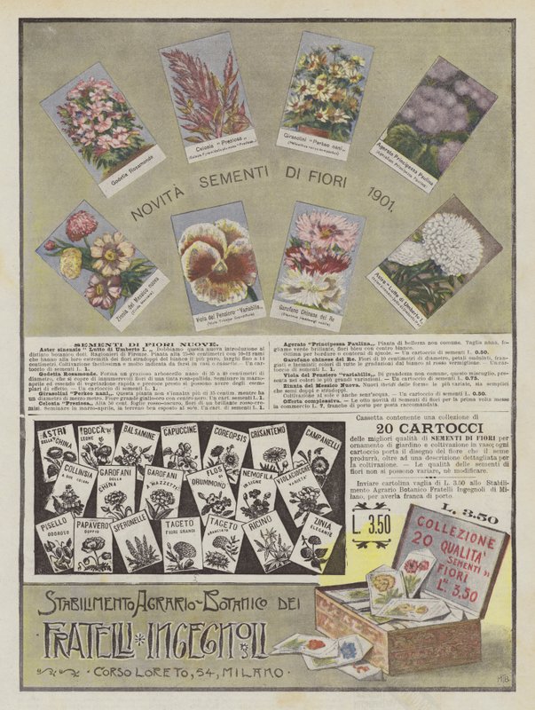 Ingegnoli Brothers (barevná litografie) od Italian School