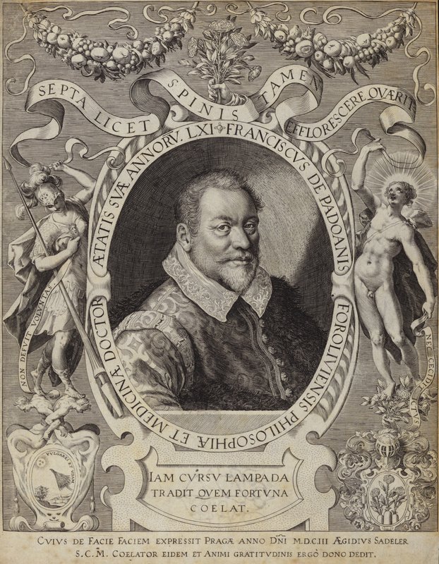 Portrét Franciscus od Padoanise Foroliviensis od Italian School