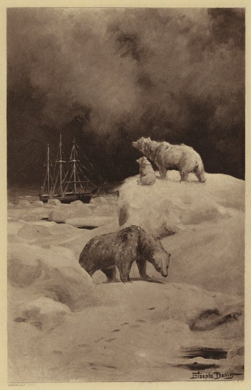 Peary v arktických oblastech (litho) od J. (after) Steeple Davis