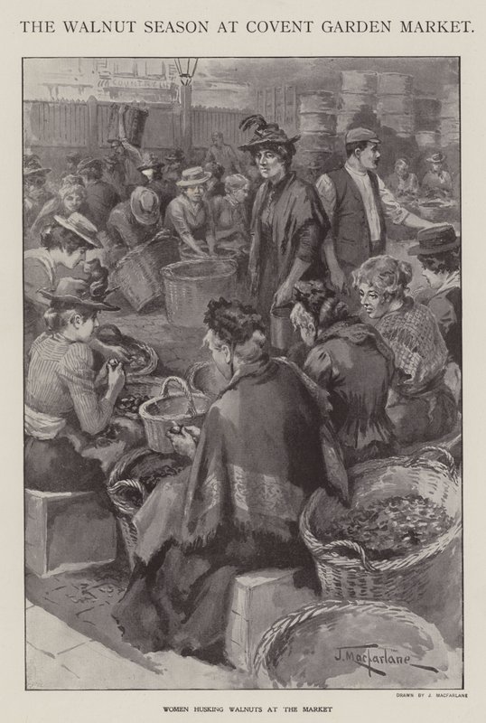 Sezóna ořechů na Covent Garden Market, Londýn (litho) od J. Macfarlane