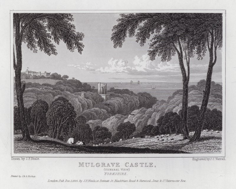Mulgrave Castle, General View, Yorkshire (rytina) od John Preston Neale