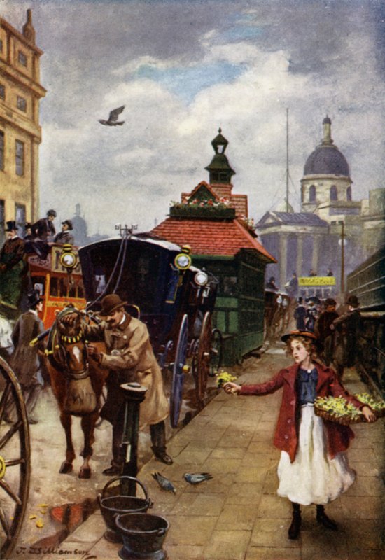 Taxikář a jeho kůň od J. Williamson