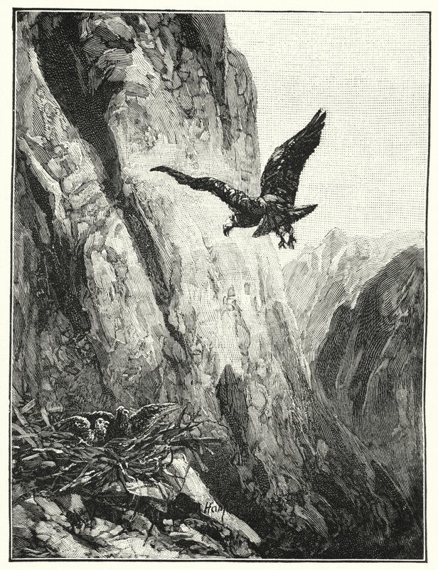 Orlí hnízdo na hoře Sinaj (litho) od James (after) Clark
