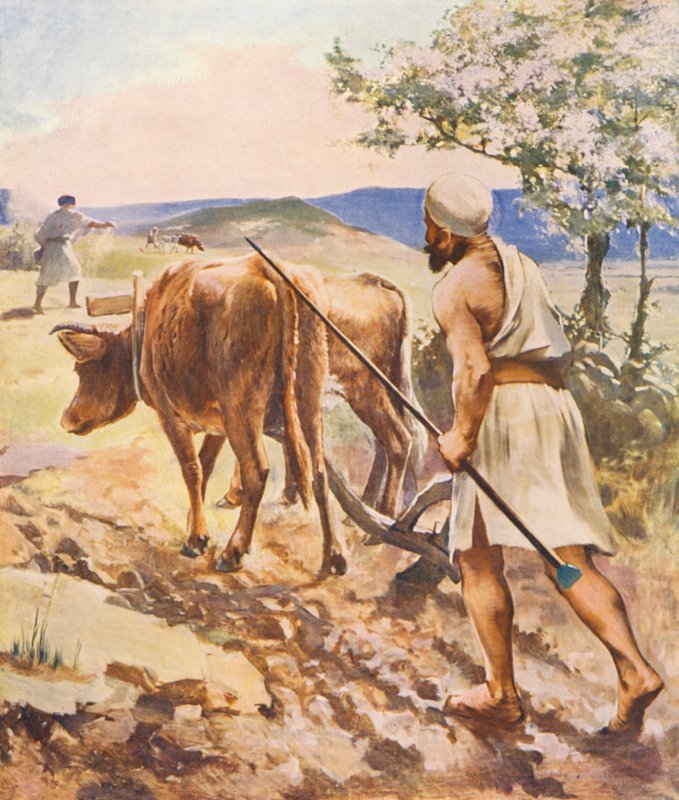 Svatá země: Orání u Nazaretu (barevná litografie) od James (after) Clark