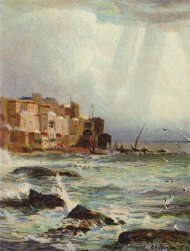Joppa (barva lito) od James (after) Clark