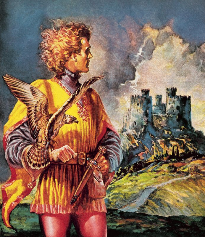 Nebezpečný hrad od James Edwin McConnell