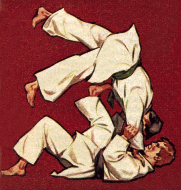 Judo od James Edwin McConnell