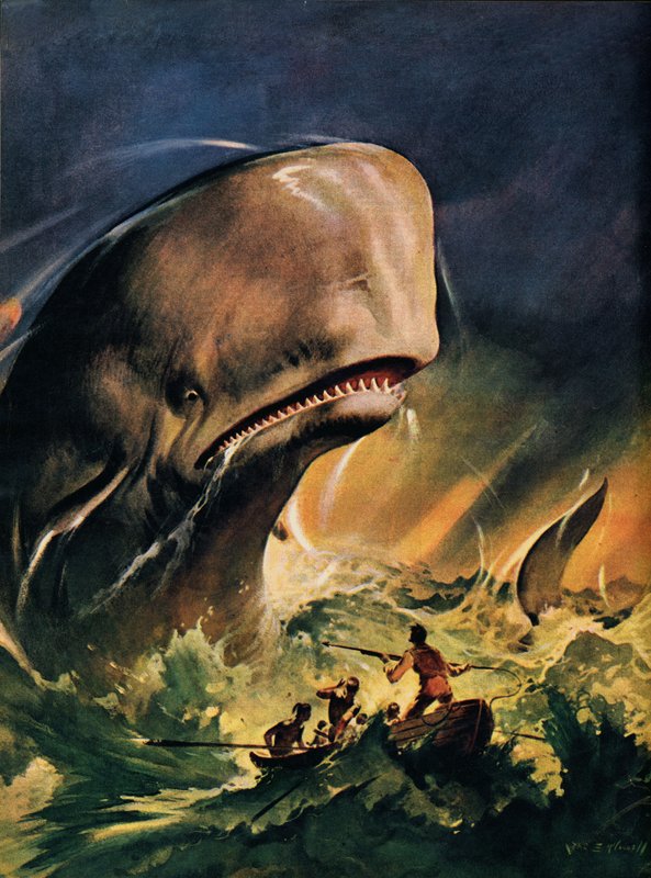 Moby Dick (barevná litografie) od James Edwin McConnell