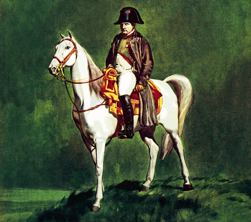 Napoleon na svém oblíbeném voze Marengo od James Edwin McConnell