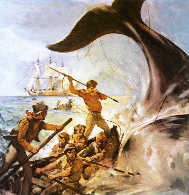 Velrybář Petr od James Edwin McConnell
