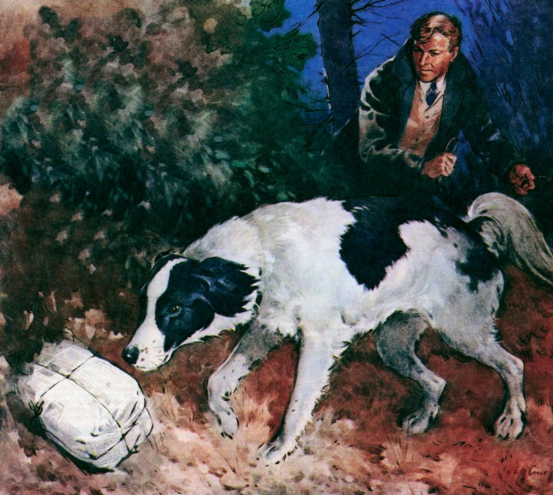 Pickles, pes ze Světového poháru (barevná litografie) od James Edwin McConnell