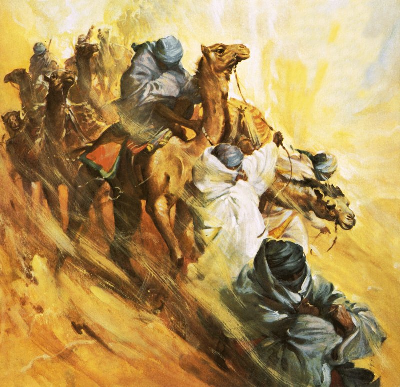 Rosita Forbesová se vydává hledat polomýtickou pevnost Kufra. od James Edwin McConnell