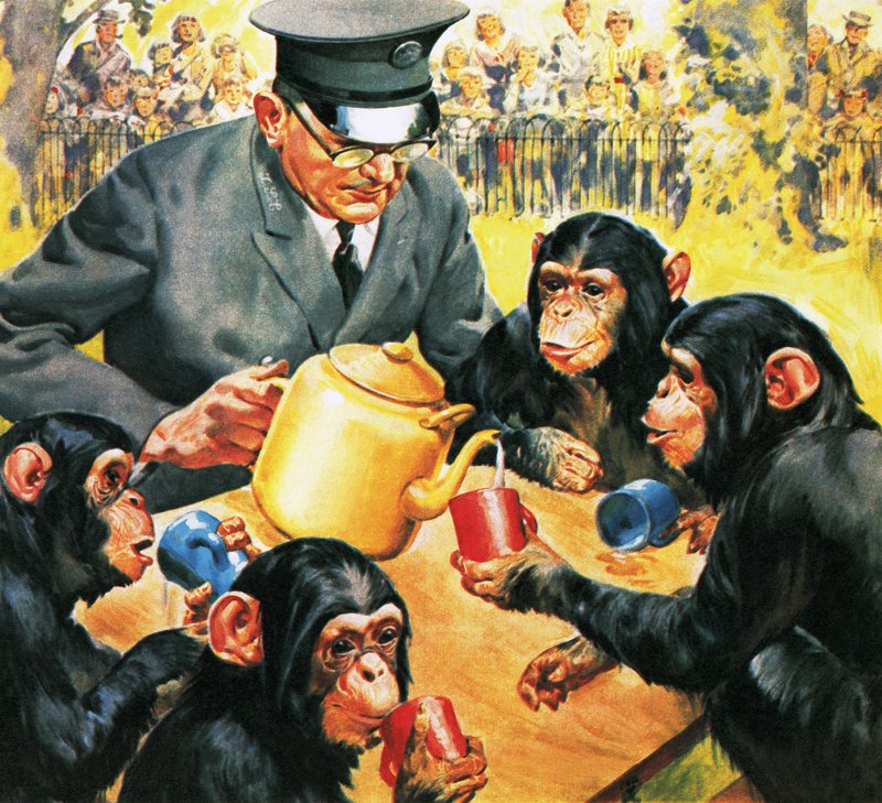 Kdo je kdo v zoo: Čaj pro čtyři od James Edwin McConnell