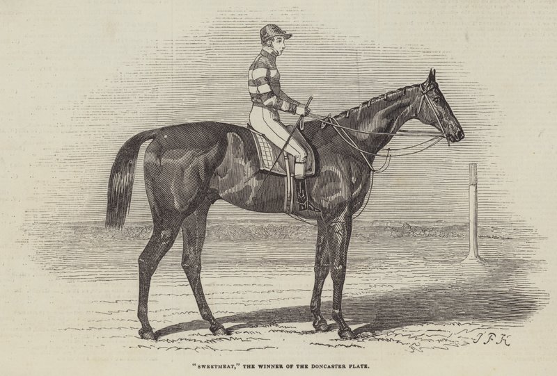 Sweetmeat, vítěz Doncasterské desky od James Herring