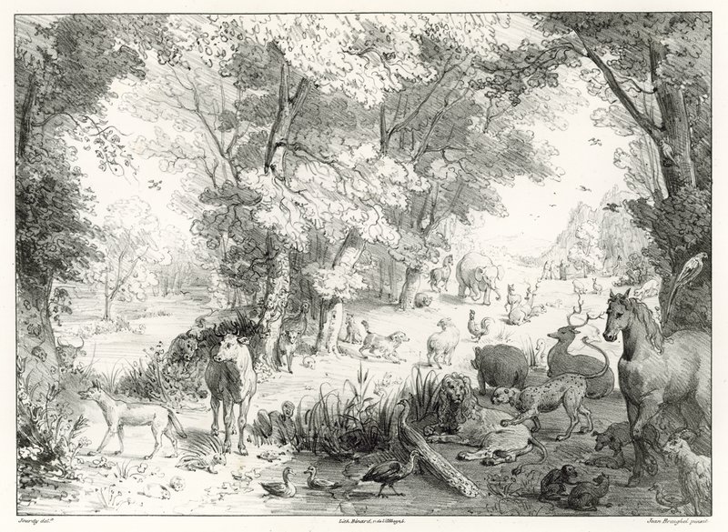 Země: Pozemský ráj od Jan the Elder Brueghel