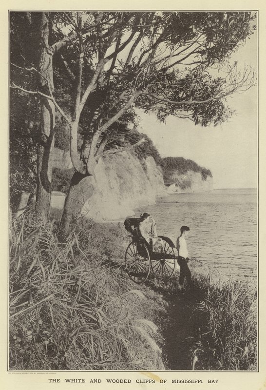 Bílé a zalesněné útesy Mississippi Bay od Japanese Photographer