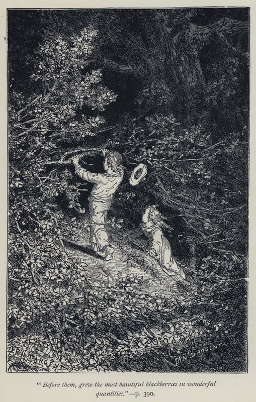 "Před nimi rostly nejkrásnější ostružiny v nádherném množství" (rytina) od Jean Edouard Dargent