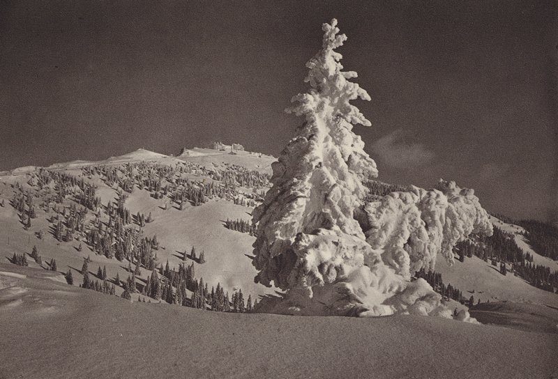 Rigi Kaltbad, Skigelande a Rigi Kulm (černobílé foto) od Jean Gaberell