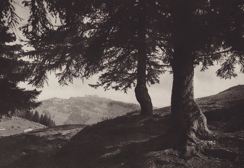 Rigi Staffel, procházka poblíž Staffel (černobílá fotografie) od Jean Gaberell
