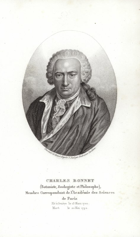 Charles Bonnet od Jens Juel