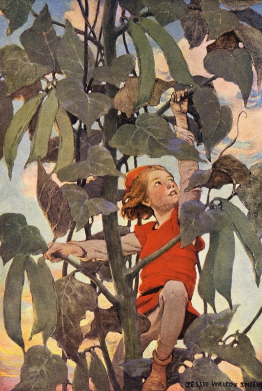 Jack a fazolový stonek (barevná litografie) od Jessie Willcox Smith