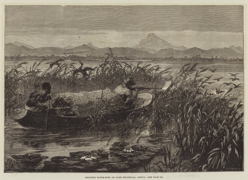 Střelba vodního ptactva na jezeře Mirambala, Afrika od Johann Nepomuk Schonberg