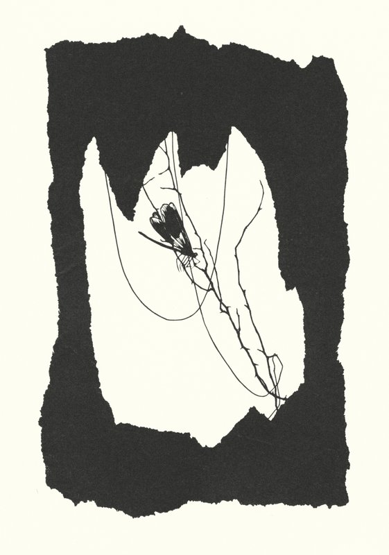Silueta Johanny Beckmannové (litografie) od Johanna Beckmann